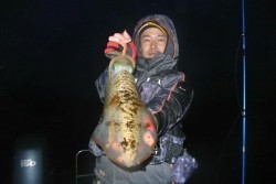 South Current 釣果