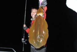 South Current 釣果