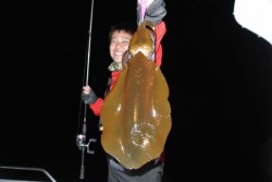 South Current 釣果