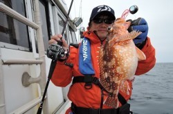 ワープゾーン 釣果