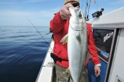 ワープゾーン 釣果