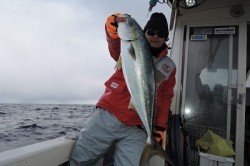 ワープゾーン 釣果