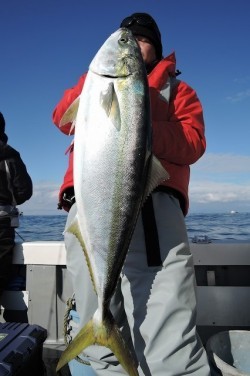 ワープゾーン 釣果