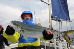 ワープゾーン 釣果