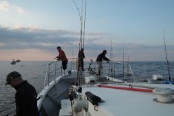 ワープゾーン 釣果