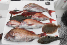 ＪＤＩ　Ｒａｃｉｎｇ　シールズマリンレジャ…