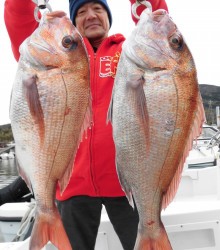 JDI Racing シールズマリンレジャー 釣果