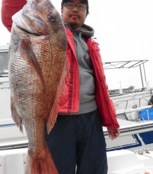 ＪＤＩ　Ｒａｃｉｎｇ　シールズマリンレジャー 釣果