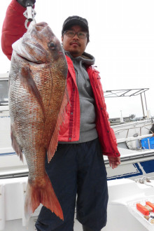 ＪＤＩ　Ｒａｃｉｎｇ　シールズマリンレジャー 釣果