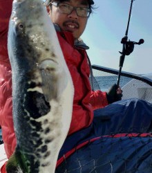 ＪＤＩ　Ｒａｃｉｎｇ　シールズマリンレジャー 釣果