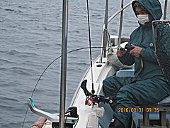 遊漁船 未紗奈 釣果