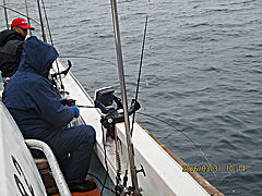 遊漁船 未紗奈 釣果