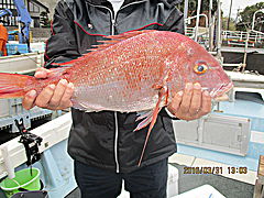 遊漁船 未紗奈 釣果