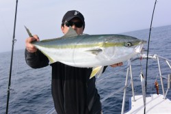 ジギング船 BLUEWATER 釣果