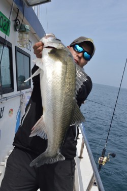 ジギング船 BLUEWATER 釣果