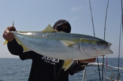 ジギング船 BLUEWATER 釣果