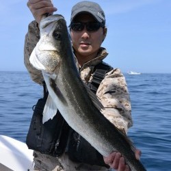 ジギング船 BLUEWATER 釣果