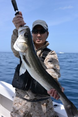 ジギング船 BLUEWATER 釣果