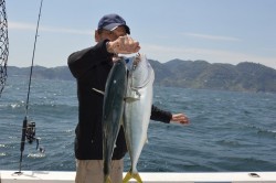 ジギング船 BLUEWATER 釣果