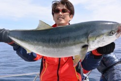 ジギング船 BLUEWATER 釣果