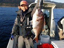 鯛多ニック 釣果