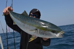 ジギング船 BLUEWATER 釣果