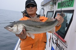 ジギング船 BLUEWATER 釣果