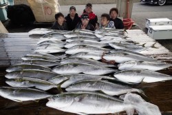 ハピネスⅡ 釣果