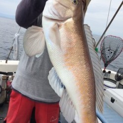 Blue.win 海人丸 釣果