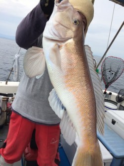 Blue.win 海人丸 釣果