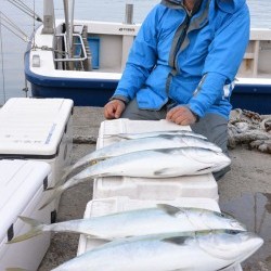 ジギング船 BLUEWATER 釣果