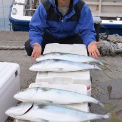 ジギング船 BLUEWATER 釣果