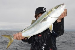 ジギング船 BLUEWATER 釣果