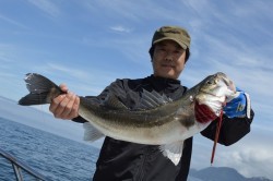 ジギング船 BLUEWATER 釣果