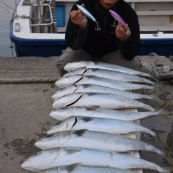 ジギング船 BLUEWATER 釣果