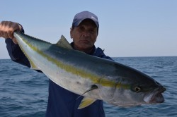 ジギング船 BLUEWATER 釣果