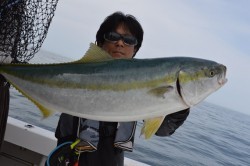 ジギング船 BLUEWATER 釣果