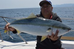 ジギング船 BLUEWATER 釣果