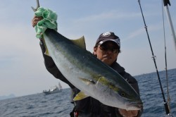 ジギング船 BLUEWATER 釣果