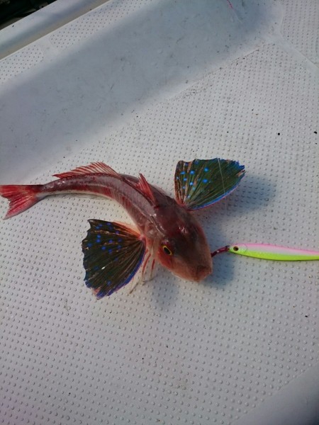 小型ボートでは厳しいウネリ・・・