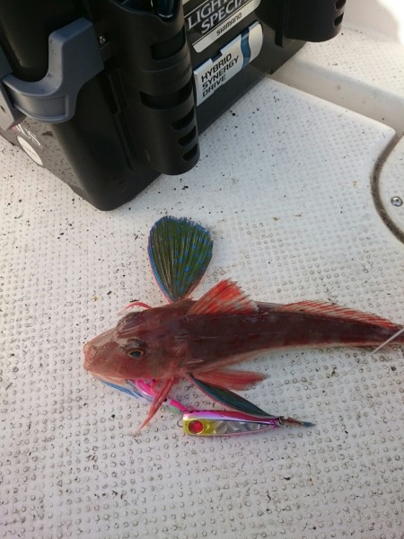 小型ボートでは厳しいウネリ・・・