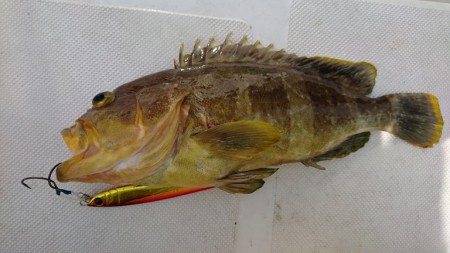 マイボート釣行