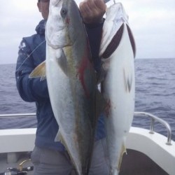Ｙ’ｓ 釣果
