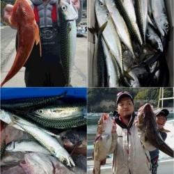 第三隆栄丸 釣果