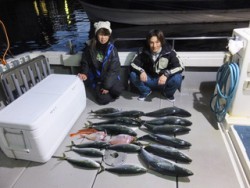 Hit Rush(ヒット ラッシュ） 釣果