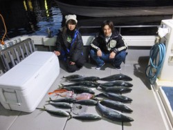 Hit Rush(ヒット ラッシュ） 釣果…