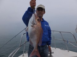 Hit Rush(ヒット ラッシュ） 釣果