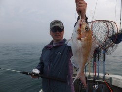 Hit Rush(ヒット ラッシュ） 釣果