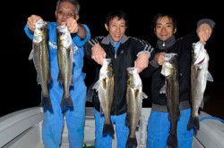 Marine T Design　マリンティ…