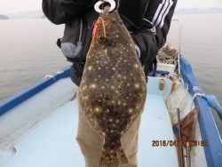 長崎大村湾　第一あさかぜ 釣果